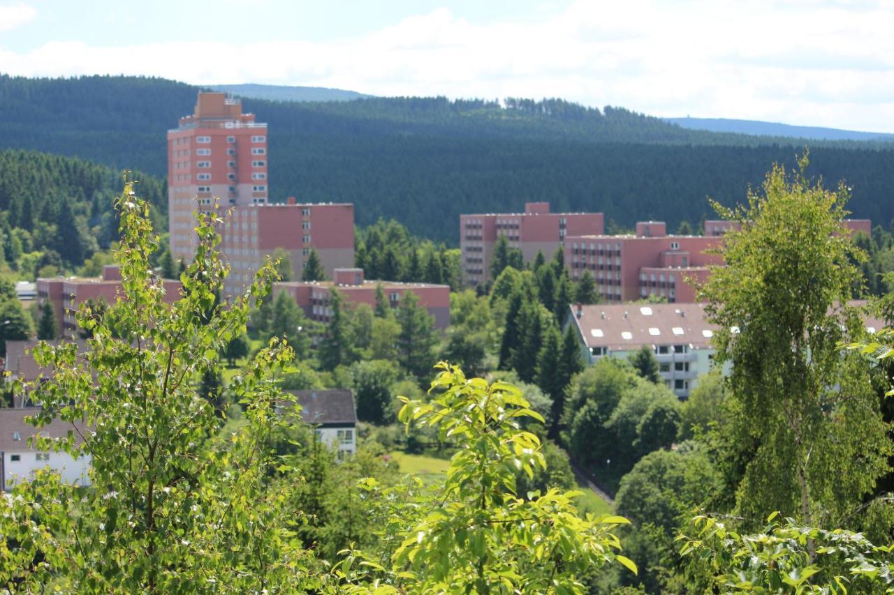 Ferienwohnung Sonnenblick Altenau  Extérieur photo